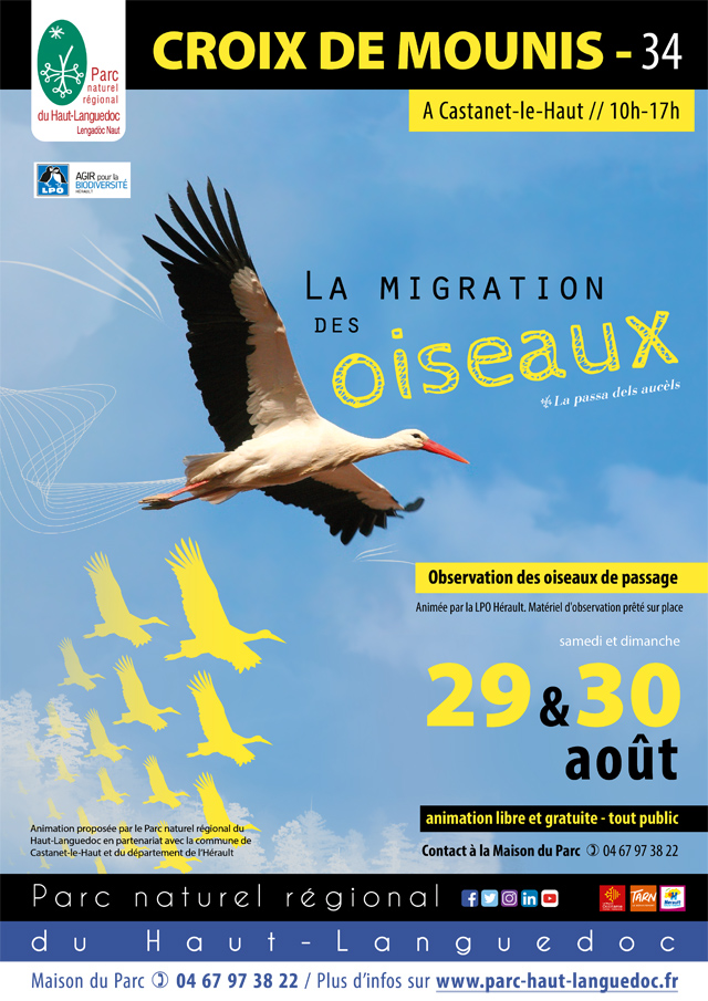 Affiche de "L'Observation de la migration des oiseaux" les 29 et 30 août 2020 à La Croix de Mounis, Castanet-le-Haut (Hérault)