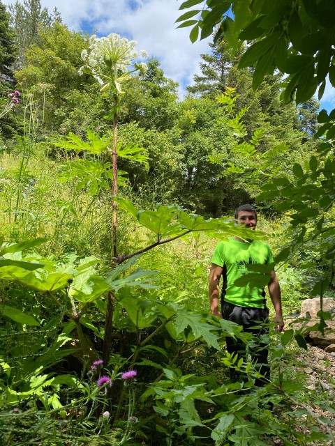 Magazine Occigène des sept parcs naturels régionaux d'Occitanie