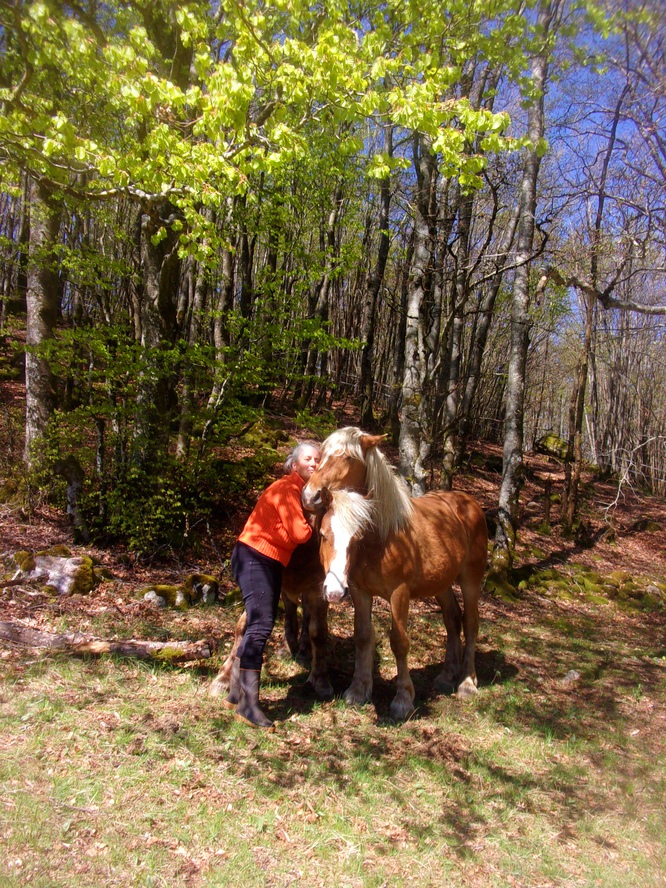 Hélène et son cheval à la ferme du Peyregas