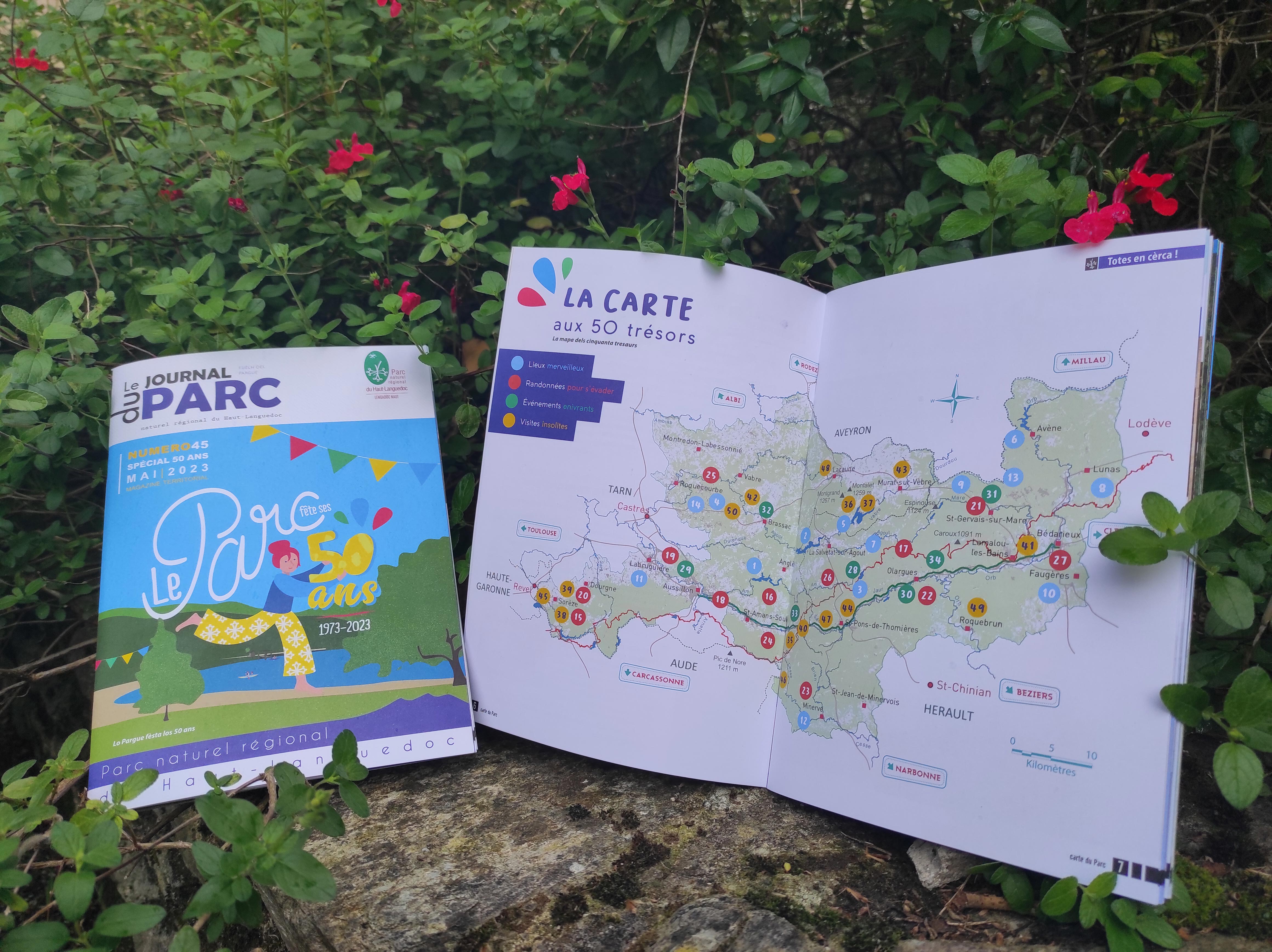 La chasse aux galets décorés, nouveau jeu de piste à succès grâce aux  réseaux sociaux - Courrier picard