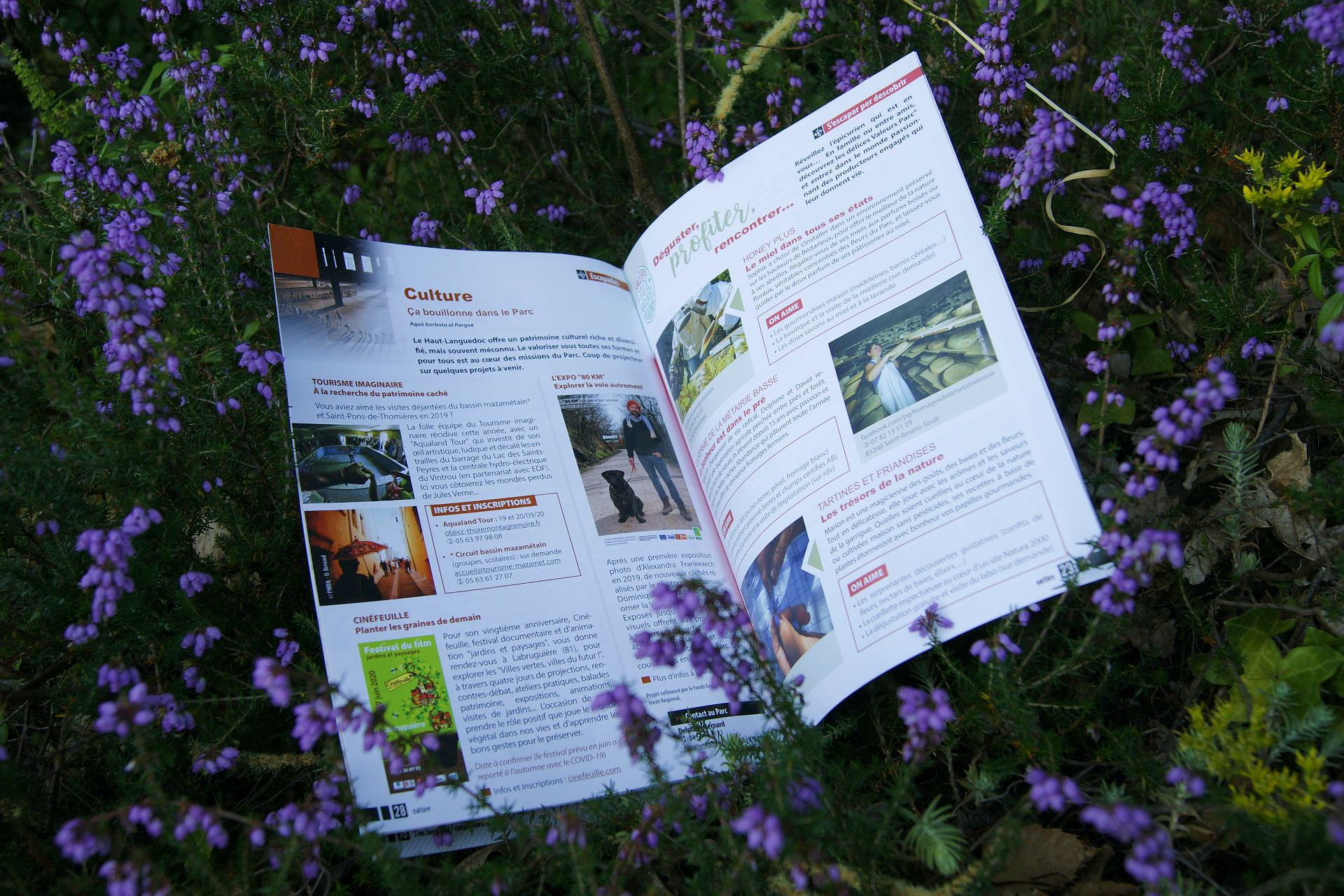 Journal du Parc naturel régional du Haut-Languedoc - Culture