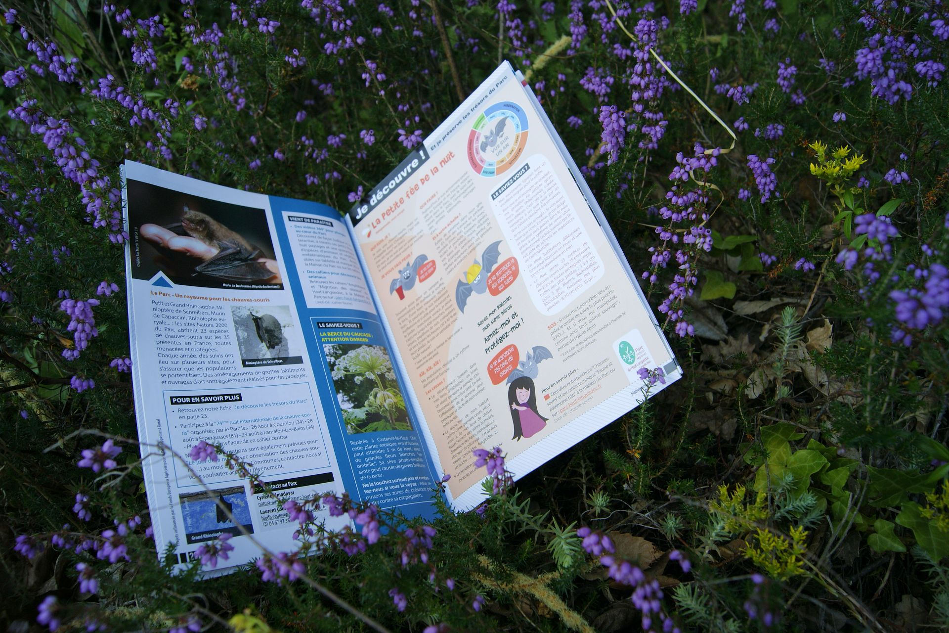 Journal du Parc naturel régional du Haut-Languedoc - Je découvre les trésors du Parc