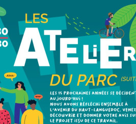 affiche réunions publiques