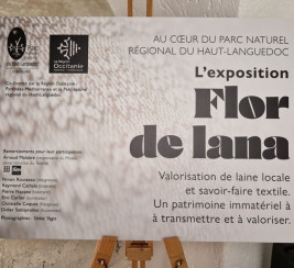 L'exposition Flor de lana