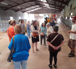 Visite de la ferme de la Ruyère : entre agriculture, art et coopération locale
