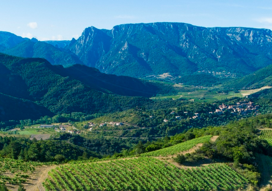 S’investir pour la biodiversité de proximité