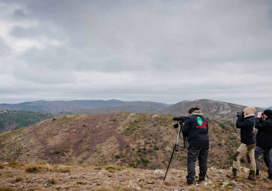 3 personnes prenant des photos du parc naturel