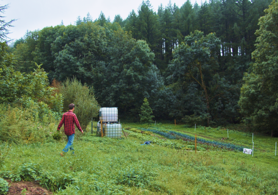 image jardin en pleine nature