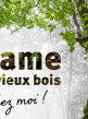 page de garde -Trame vieux bois guide pratique