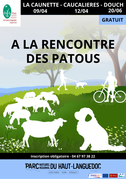 affiche sensibilisation patous