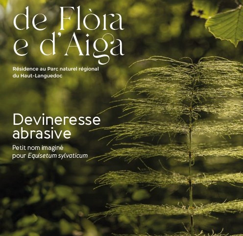 kovisuel affiche