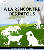 affiche sensibilisation patous