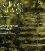 kovisuel affiche