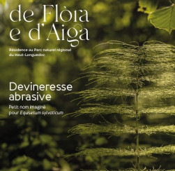kovisuel affiche