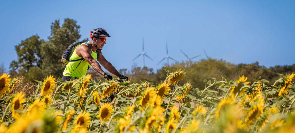 Personne à vélo dans un champ