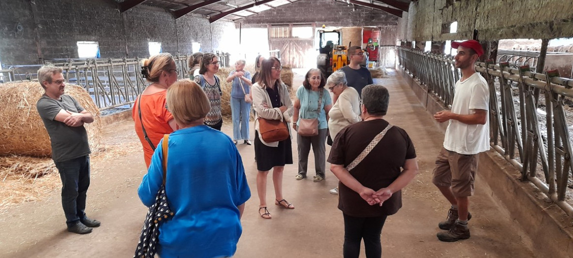Visite de la ferme de la Ruyère : entre agriculture, art et coopération locale