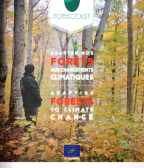 Rapport Layman : adapter nos forêts aux changements climatiques
