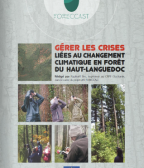 Plan d'action pour les forêts du Haut-Languedoc en cas de crise climatique sévère