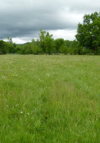 Concours des Pratiques Agro-écologiques Prairies & Parcours