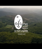 Logo parc naturel régional sur fond de forêt